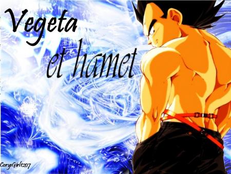 vegeta et hamet